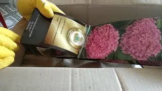 ИНТЕРНЕТ магазин ЦВЕТОК. ШОП Какие цветы я впервые заказала в этом магазине и что увидела в посылке!