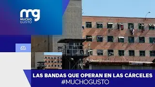 Reportaje | Más de mil bandas operan en cárceles chilenas