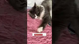 Мобильный гейминг окончательно мёртв !