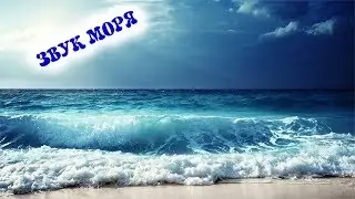SOUND OF THE SEA !!! 30 minutes of flying fun! WE ARE HAVING REST TOGETHER !!!