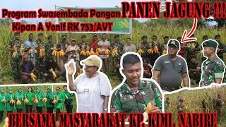 PANEN JAGUNG ‼️Kipan A Yonif RK 753/AVT Bersama Masyarakat Kp. Kimi, Nabire