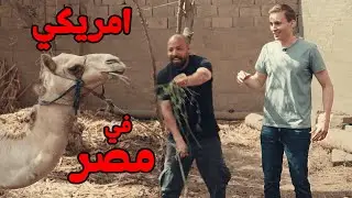 أمريكي بيجرب حياة المصريين… البرنامج 🇪🇬🇺🇸