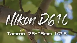 NIKON D610 with TAMRON AF 28-75mm f/2.8 IF Flat Picture (Videos and Photos)