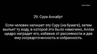 СУРА АНКАБУТ: УСПОКОИТЬ 💓💓💓