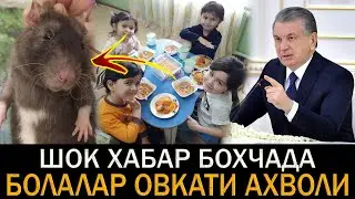 БОХЧАДАГИ КАЛАМУШЛАР ФОШ БОЛДИ