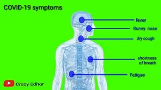 GREEN SCREEN coronavirus symptoms animation effects | covid19 symptoms animation for avareness