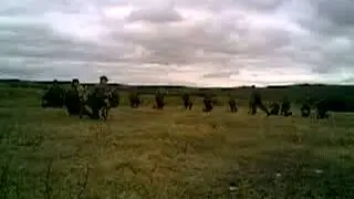 Спутник весна 2010 3 дшр