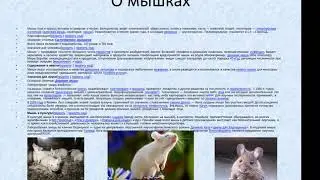 обзор мои презентации в powerpoint