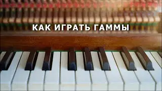 Как играть гаммы