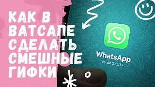 Как в Ватсапе сделать смешные гифки