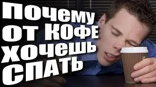 Почему от кофе клонит в сон