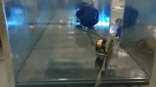 Dry truck body assemble process video