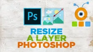 How to Resize a Layer in Photoshop