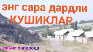 мени кутганлар борми ???😄😄😄