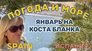 Испания Какая погода и море в январе  (Коста Бланка) 2022 