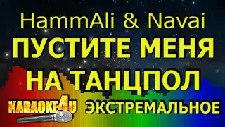 hammali & navai Пустите меня на танцпол ЭКСТРЕМАЛЬНОЕ КАРАОКЕ