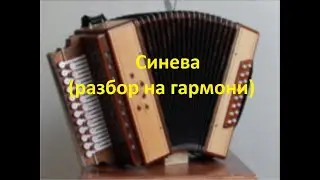 Синева(разбор на гармони с цифрами)