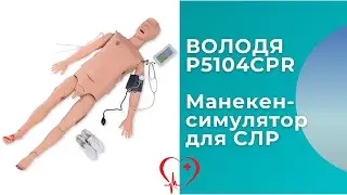 Обзор полноростового манекена-симулятора СЛР и медицинских манипуляций ВОЛОДЯ Автономный P5104CPR