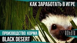 Как заработать в Black Desert: Производство корма для петов