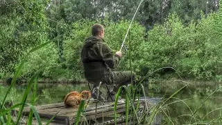 ПЕРВАЯ ЛЕТНЯЯ РЫБАЛКА У ДОМА С МОСТКОВ! КРУПНАЯ ПЛОТВА НА ПЕРЛОВКУ🎣