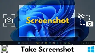 How To Take a Screenshot in Windows 11 PC/Laptop  Two Best Ways To Take Screenshot