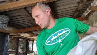 Вес нутрии 4 и 6 месяца выращенные на натуральных кормах!!!