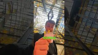 Лондонський офіс-санаторій Google
