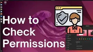 Linux File Permission Tutorial: How to Check Permissions