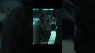 Отец хотел спугнуть собаку, но.. 😨 