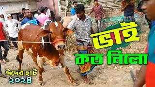 Bhai koto Nilo 2024 || Sirajganj Gas Line Gorur haat 2024 Part-46 || Qurbani Cow price in Bangladesh