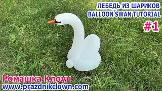 ЛЕБЕДЬ ИЗ ДЛИННОГО ШАРИКА ШДМ 1 как сделать Balloon Swan TUTORIAL como hacer un cisne con globos