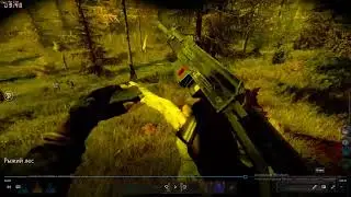 Путь с нуля 2 STALKER Okolo Kanon PvP & PVE Dayz 1.20