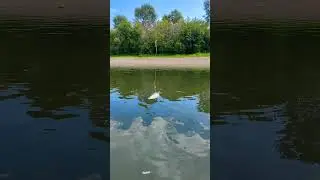 Что попадалось? Ловили таким способом? 