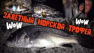 КТО ЭТО? Рокфишинг на Чёрном море. Первая рыбалка и сразу ТРОФЕЙ!