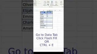 Using Flash Fill in Excel