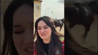 Gulinur otdan yiqildi