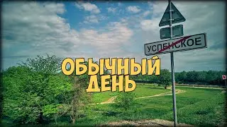 Влог. Обычный день. Нашёл черепаху, поел бузины, первые шаги дочки.