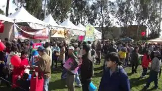 2011 Chinese New Year Fest.  Los Angeles Torrance Wilson Park
