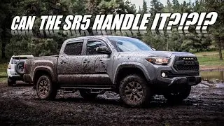 CAN A STOCK TACOMA SR5 HANDLE THE TRAILS??? | CLOUDCROFT, NM