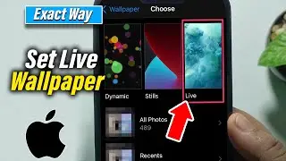 How to Set Live Wallpaper on iPhone 2024 (Quick & Easy)