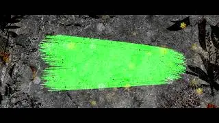 wedding invitation green screen | wedding invitation video |  wedding background