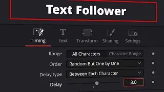 The Follower in DaVinci Resolve 19: All You Need to Know in 6 Minutes