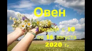 Овен. Таро-прогноз на неделю с 10 по 16 августа 2020 года.