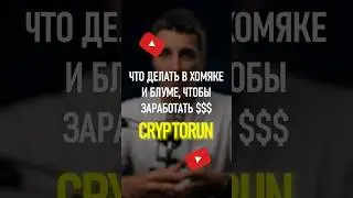 Что делать в хомяке и блуме, чтобы заработать $$$