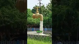 Popular Magic Trick ￼