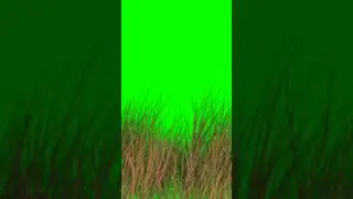 Grass Green Screen Background Effects