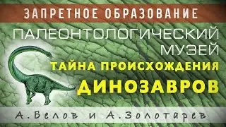 Палеонтологический музей. Александр Белов.