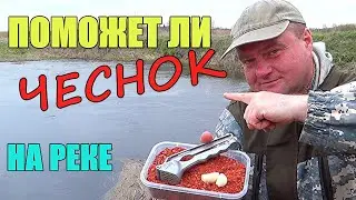 ДОБАВИЛ ЧЕСНОК В ПРИКОРМКУ. Тест на реке. Подводная съёмка.