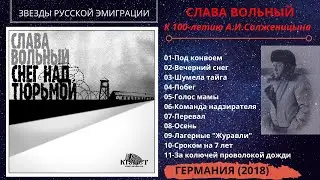 Слава ВОЛЬНЫЙ, 