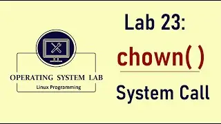 chown System Call Program in Linux